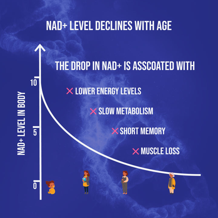 NMN 500mg